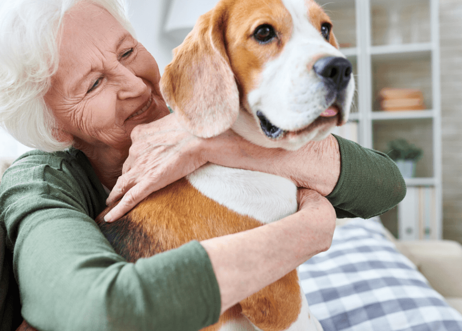 Planning for future care of your pets.