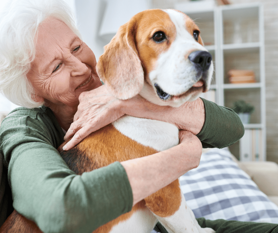 Planning for future care of your pets.